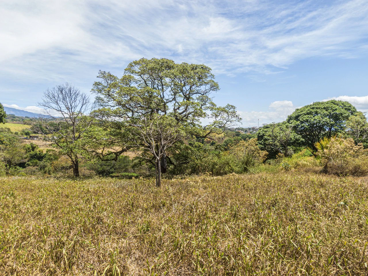 Land for development 10 hectares - Gallery image 3