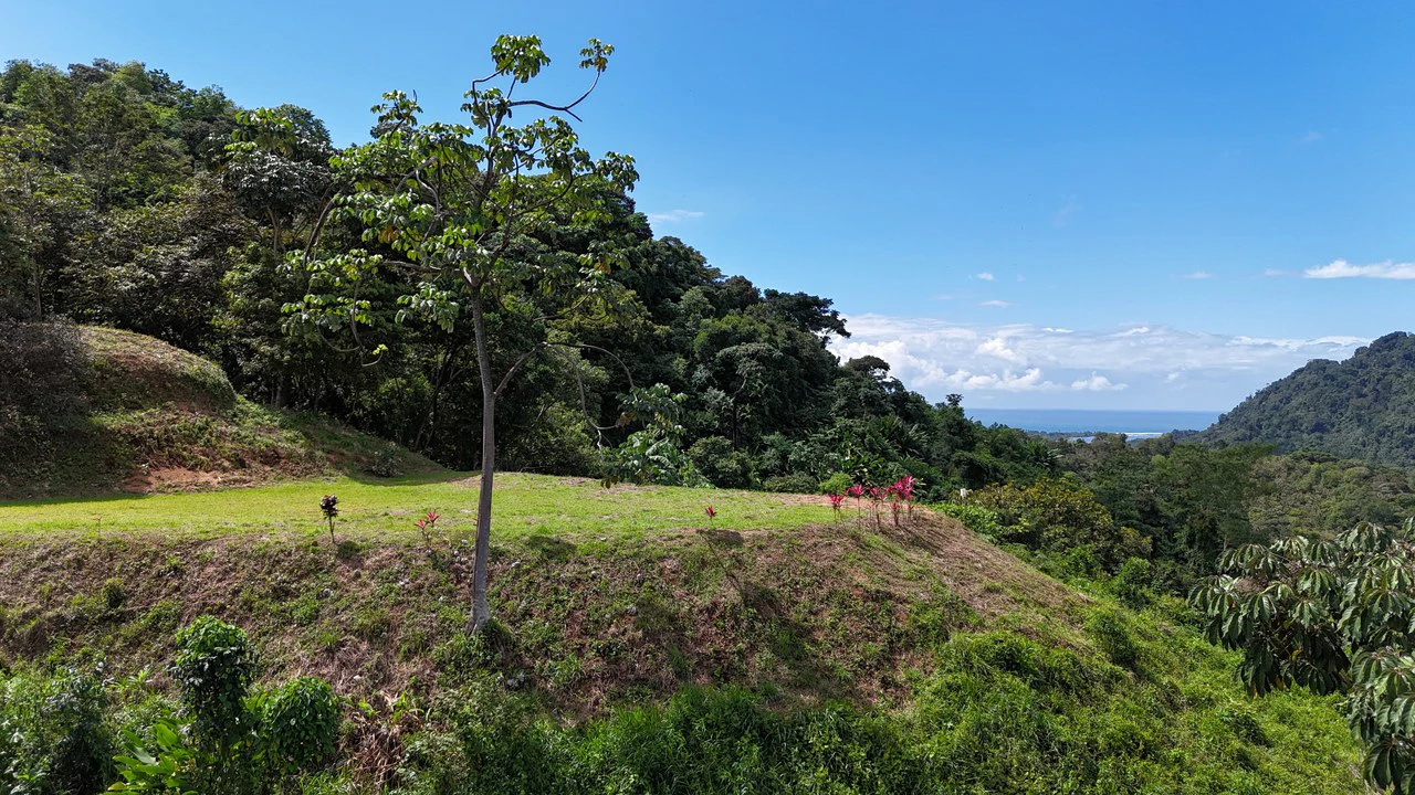 Stunning Ocean, Mountain, and Valley View Property in Tres Rios - Gallery image 6