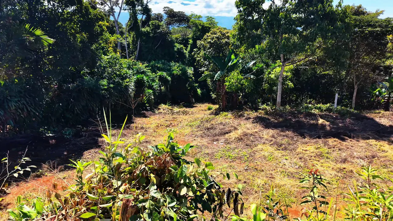 Home Construction Site For Sale in Pavones - Gallery image 8