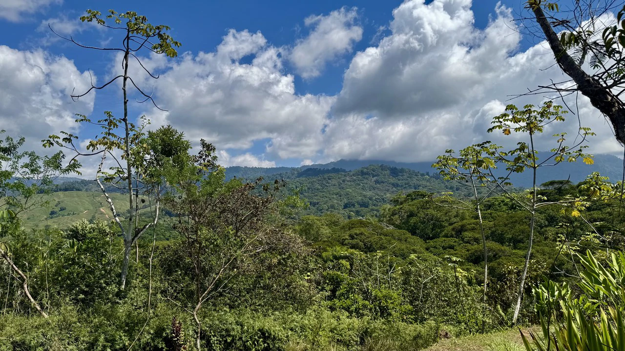 New 1,4 Acre lot in Platanillo – With Legal Water - Gallery image 4