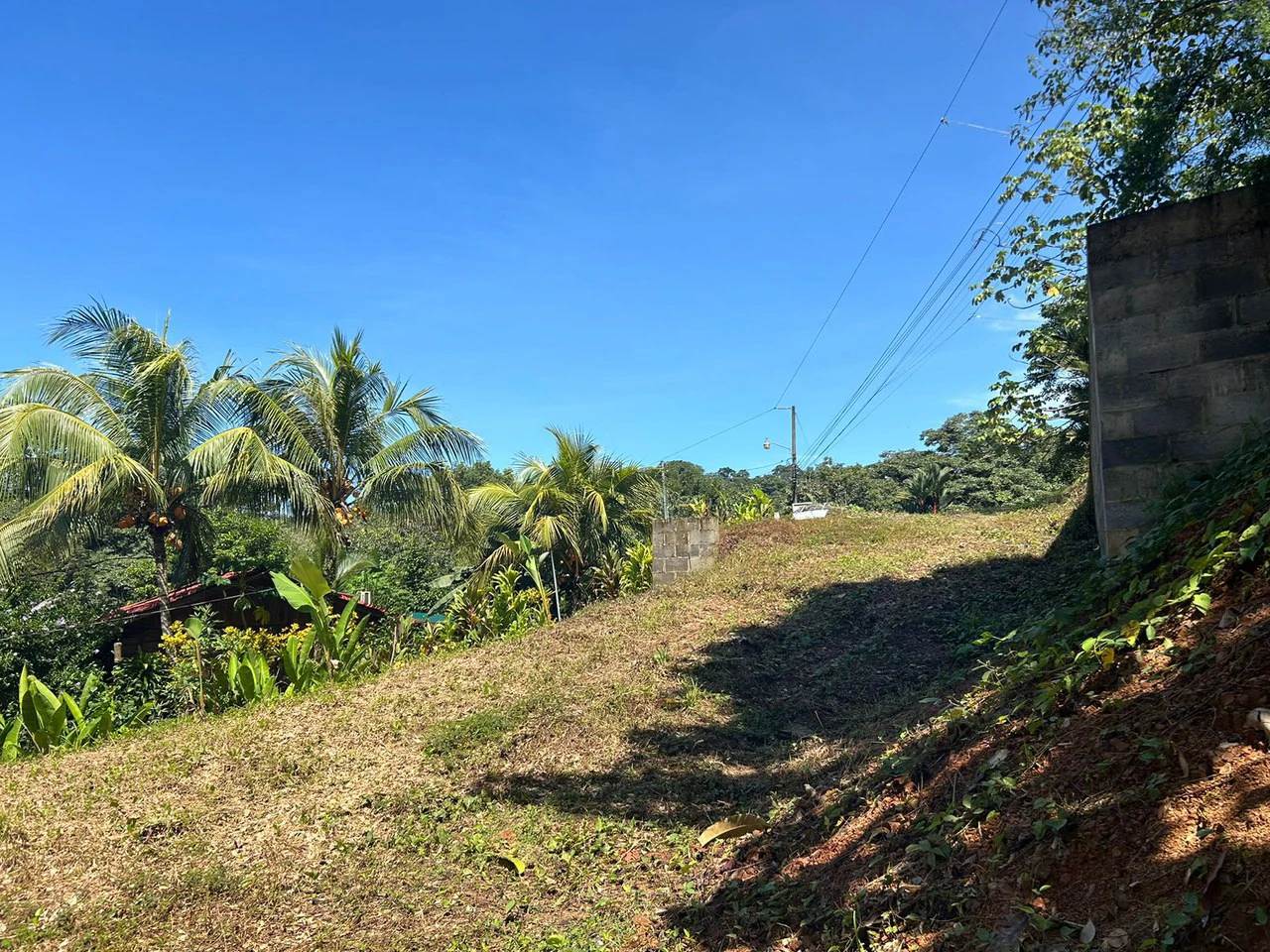 Reasonable Lot for sale in Uvita - Gallery image 7