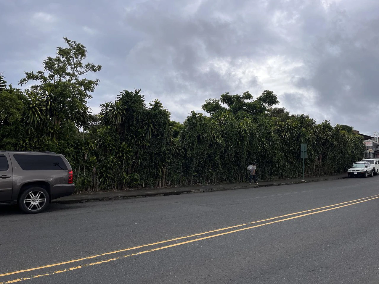 Propiedad apta para Desarrollo Comercial, en venta. San Ramón de Alajuela.: Development Parcel For Sale in San Ramón - Gallery image 3