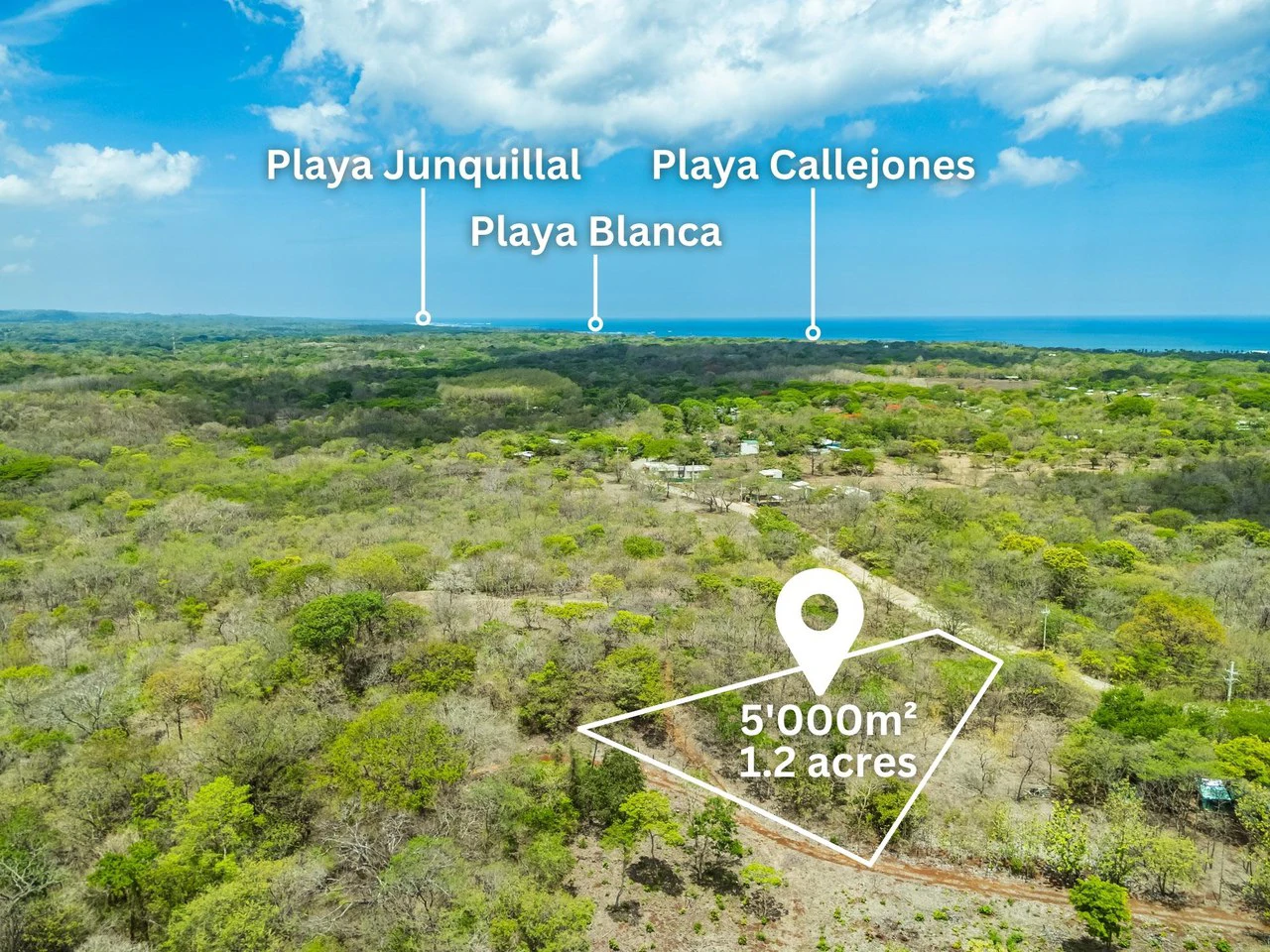 Pura Jungla Lots: Expansive Lots with Water Availability in Los Pargos - Gallery image 6