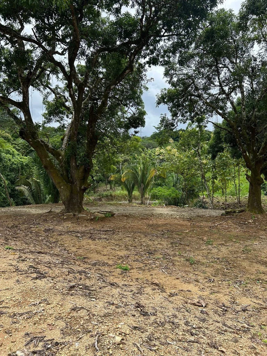 River Frontage Lot For Sale in Costa Rica Residential & Commercial Zoning - Gallery image 14