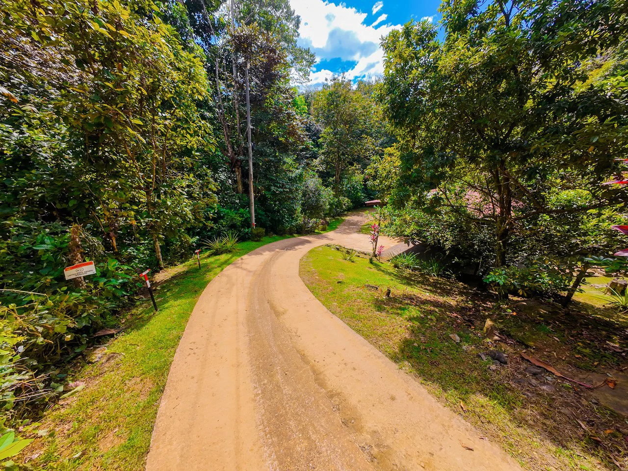 Serene Jungle Home + Guest Cabin on 3 Acres and River - Gallery image 23