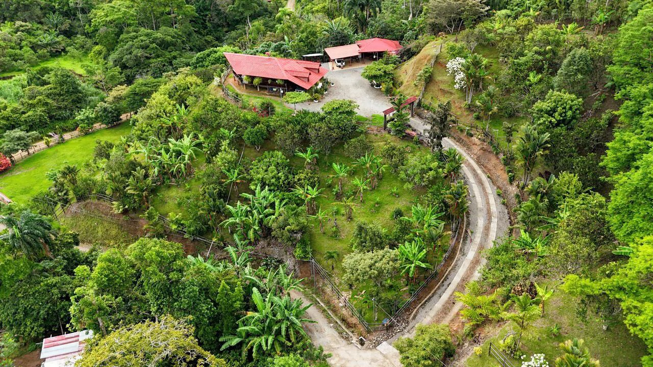 Charming Hardwood Cabin with Fruit Garden Near San Isidro - Gallery image 16