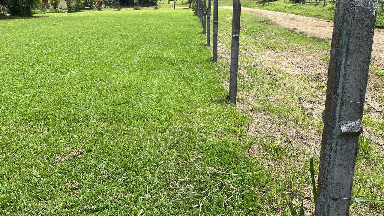 Mountain Agricultural Land For Sale in Bijagua - Gallery image 35