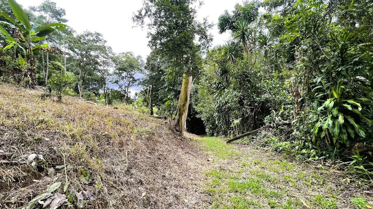 LAND FOR SALE IN SAN MIGUEL, NARANJO - Gallery image 15
