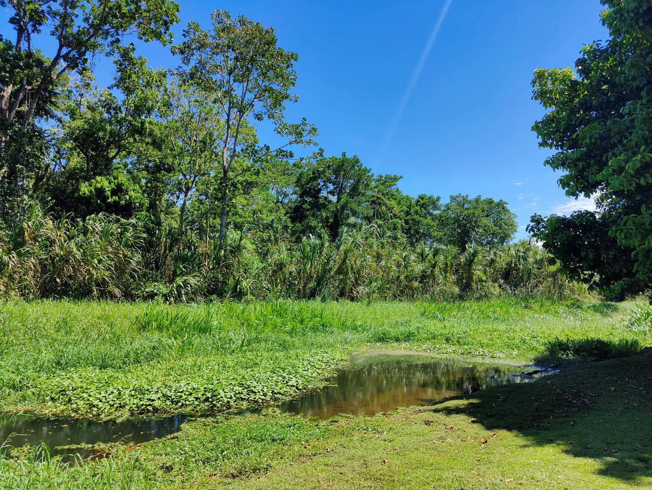 Penshurt Riverside Oasis: Stunning Riverside Property with 2-Bedroom Home and Additional Apartment - Gallery image 4
