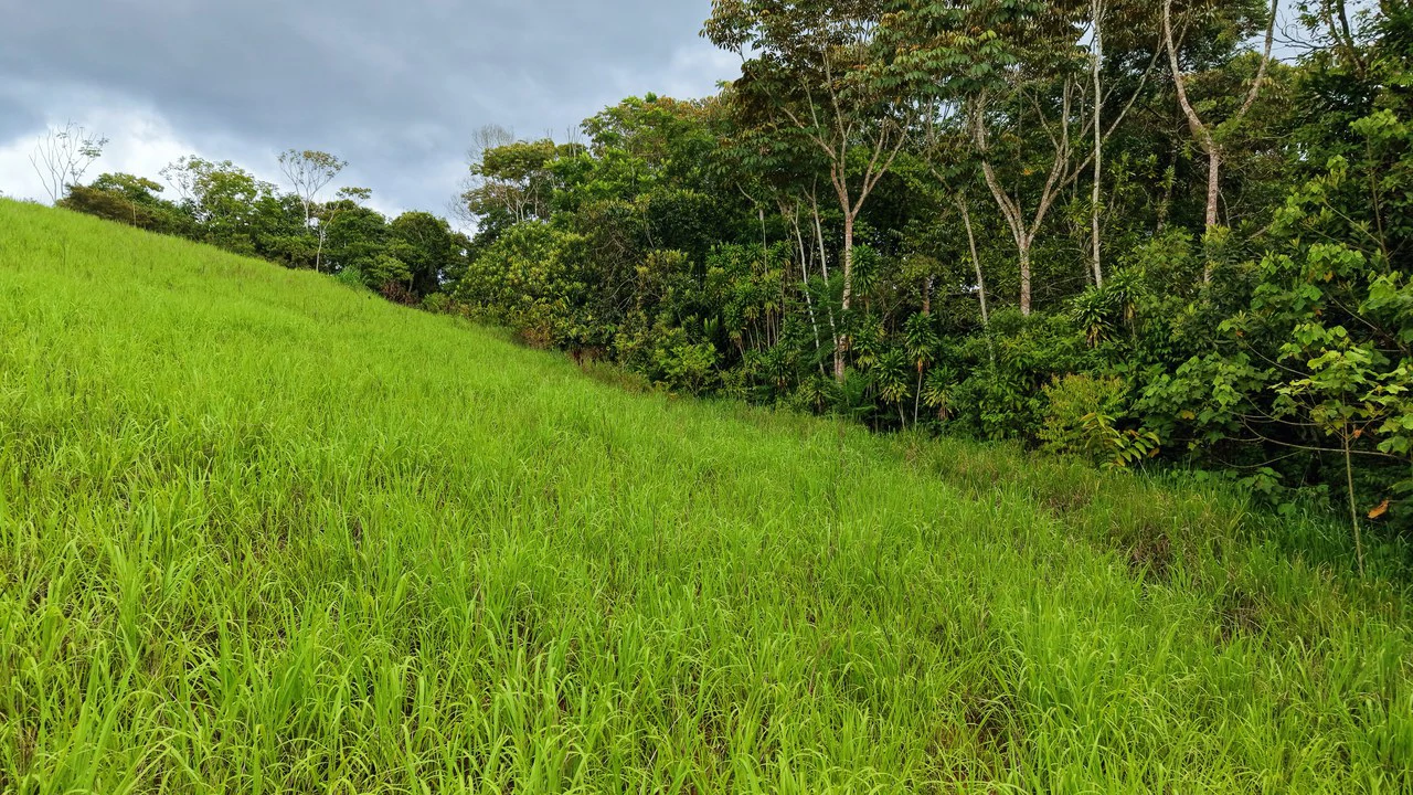 Countryside Home Construction Site For Sale in San Pedro - Gallery image 25