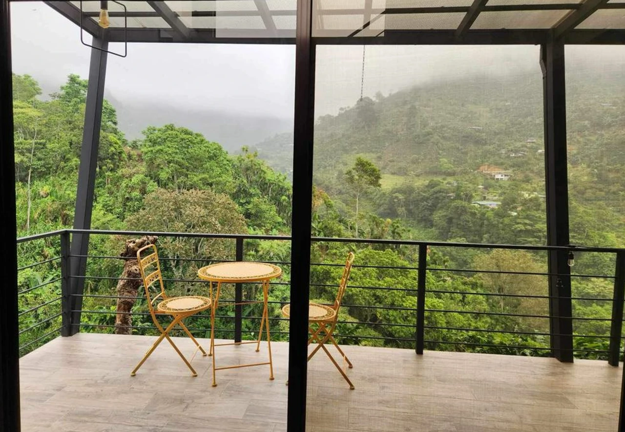 Modern Country House with Guest Cottage Amidst a Coffee Plantation in Perez Zeledon, Costa Rica - Gallery image 29