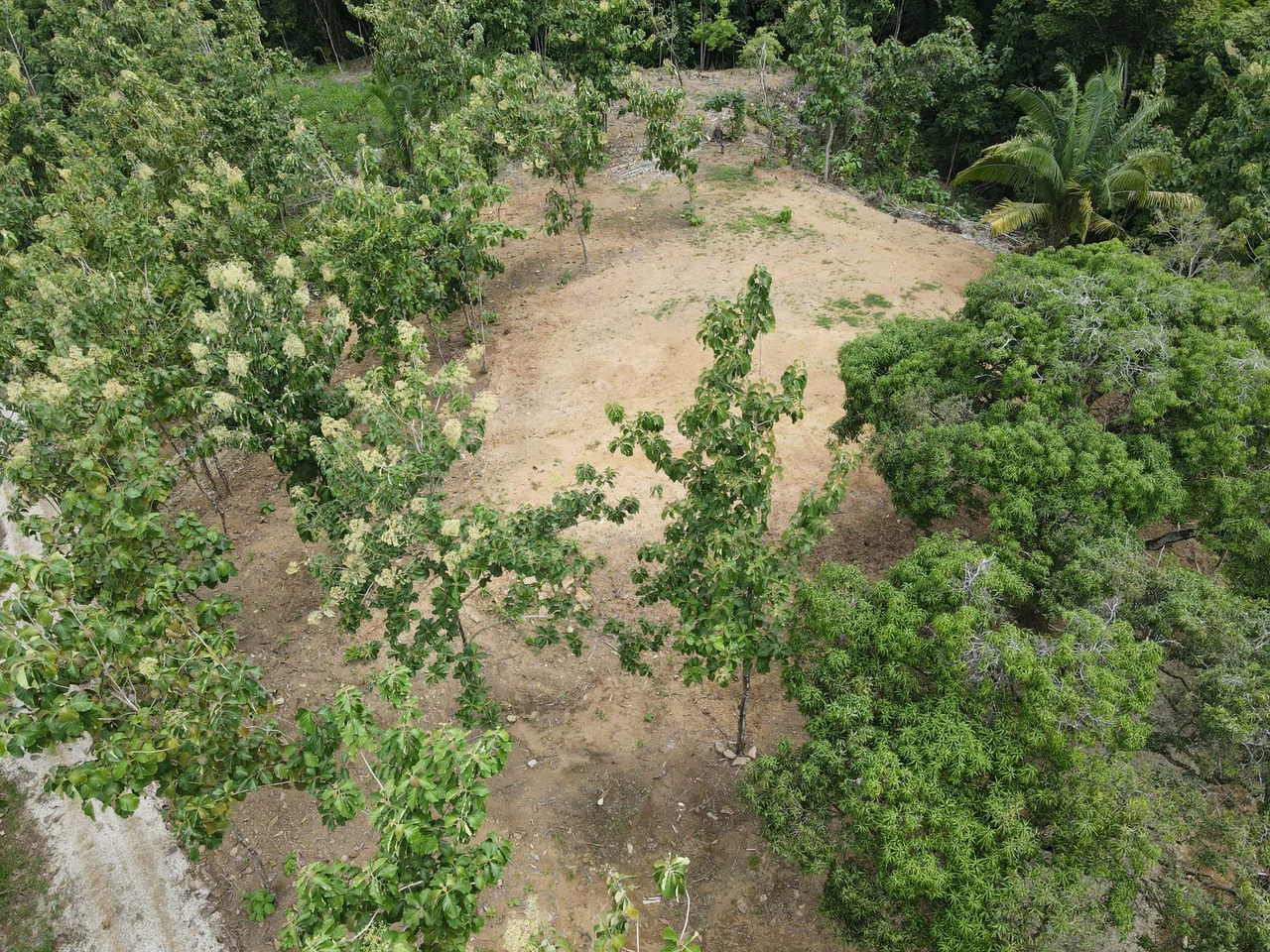 River Frontage Lot For Sale in Costa Rica Residential & Commercial Zoning - Gallery image 6