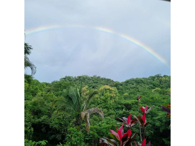 Nosara's Brand New Top Villas as a Business Opportunity in the dense forest of catchment area, 7 villas for sale in Costa Rica's Healthy Blue Zone - Gallery image 24