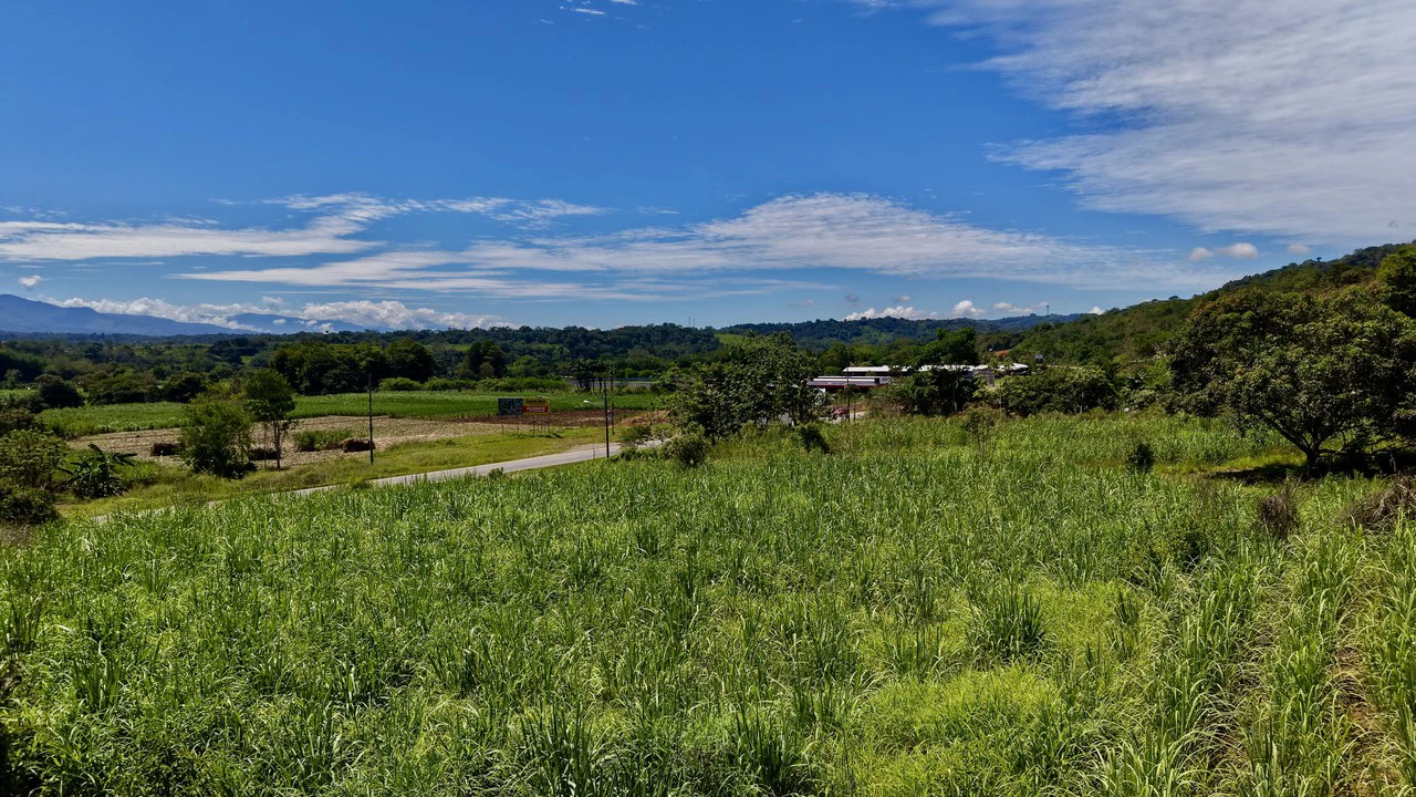Development Parcel For Sale in Daniel Flores - Gallery image 8