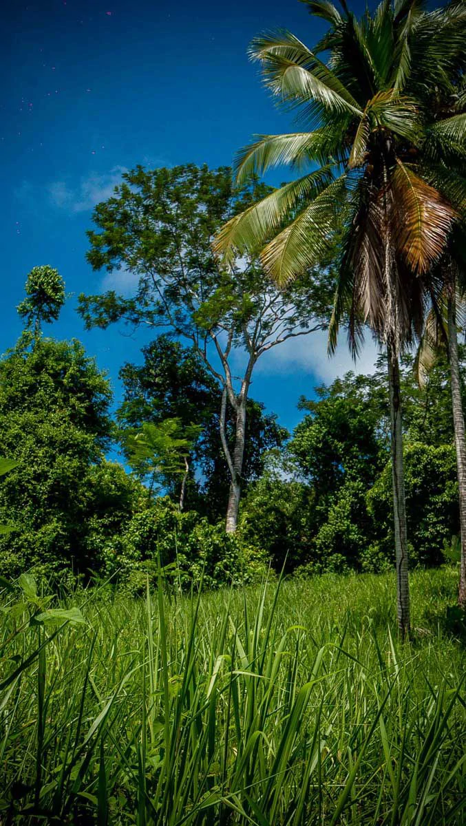Rincon Mountain Land Gulf View | A Breathtaking Landscapes of Rincon - Gallery image 23