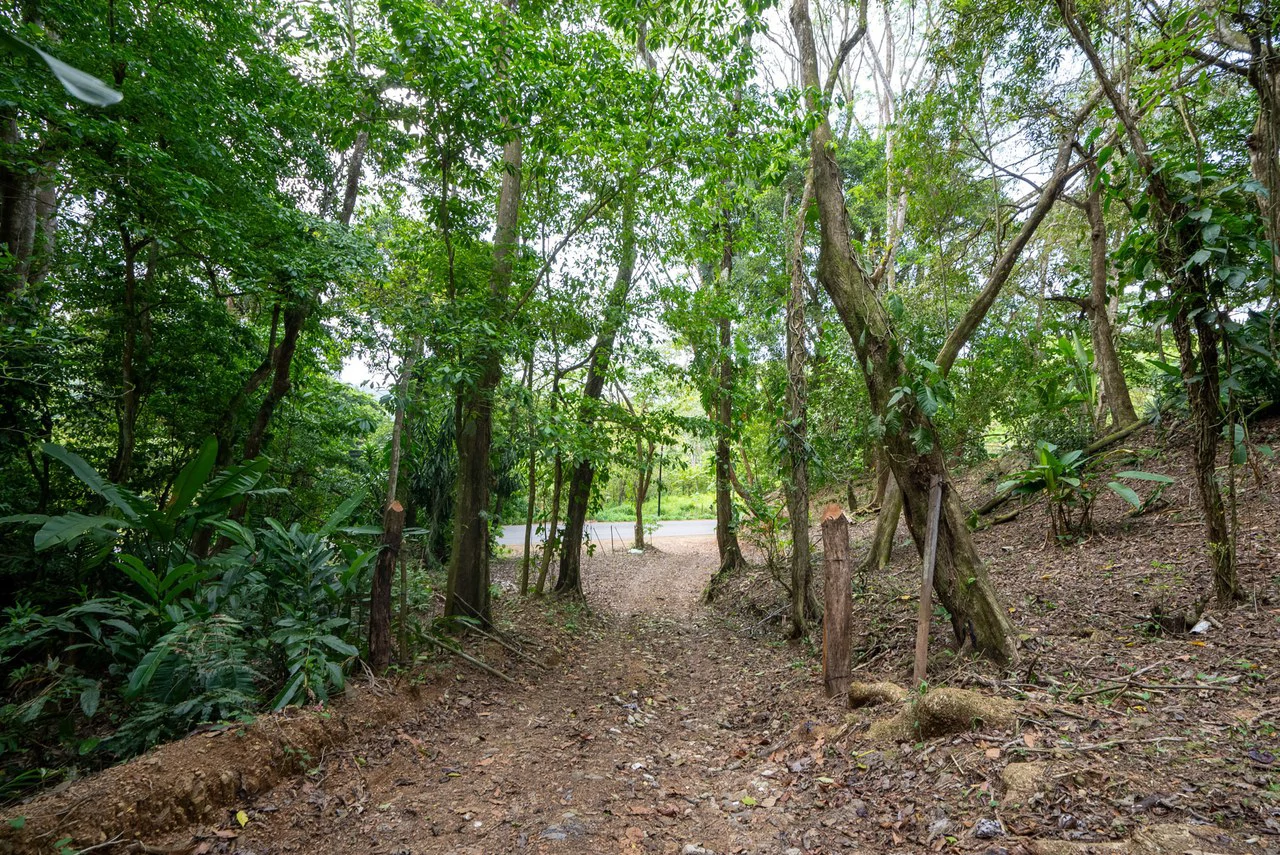 Rare 86-Acre Ocean View Estate Bordering Hacienda Barú – A Unique Opportunity for Conservation and Development - Gallery image 28
