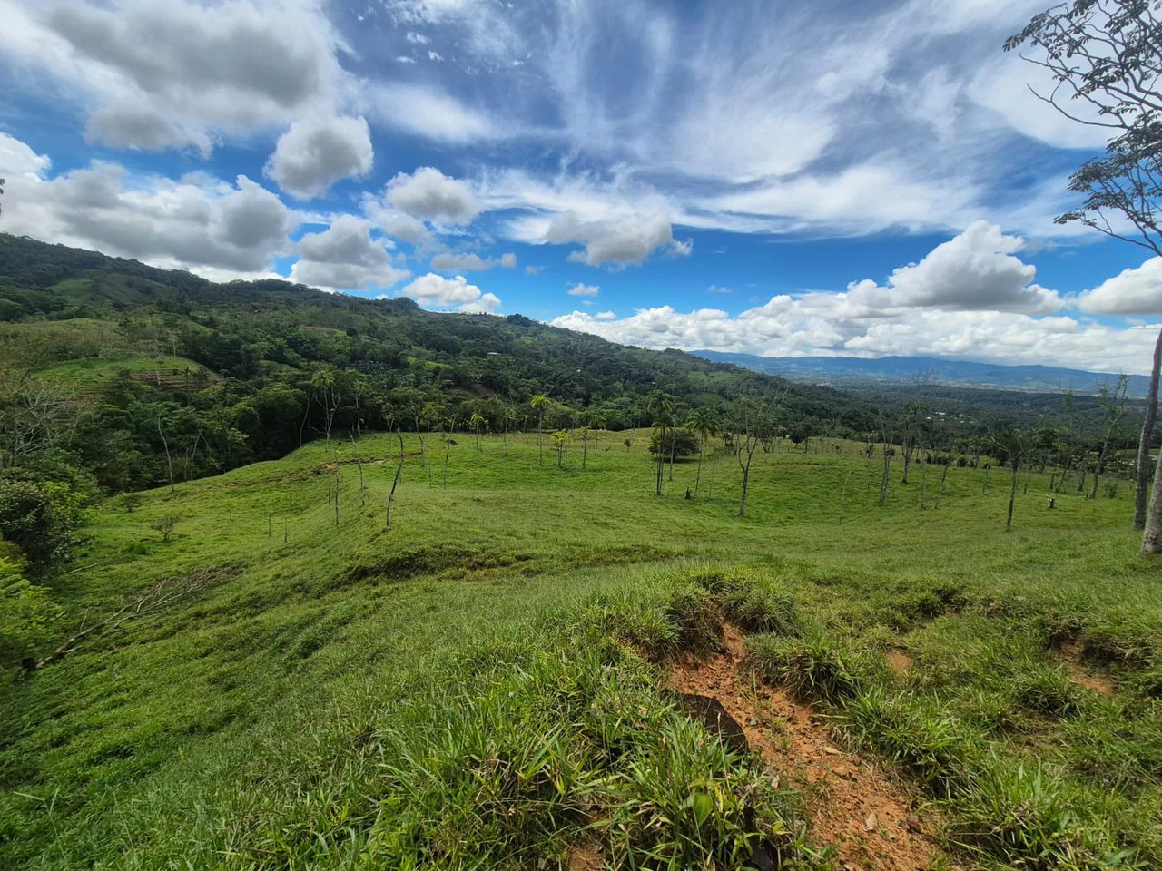 Countryside Agricultural Land For Sale in Centro de Pérez Zeledón - Gallery image 17