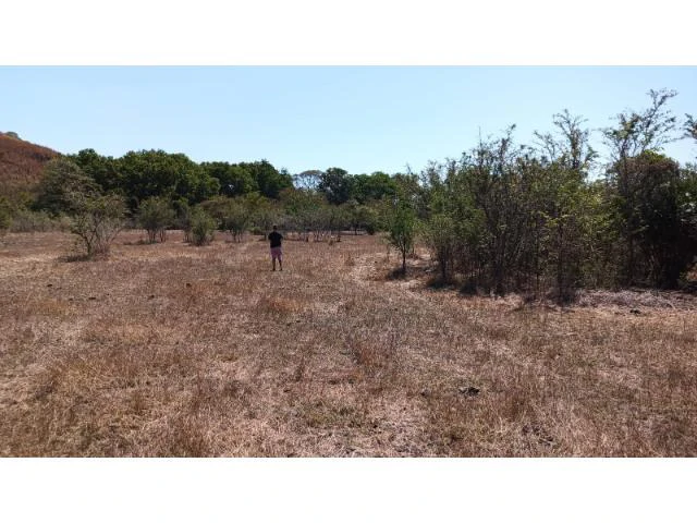 3 Flat topography properties for sale near Playas del Coco, Great building potential in the province of Guanacaste - Gallery image 17