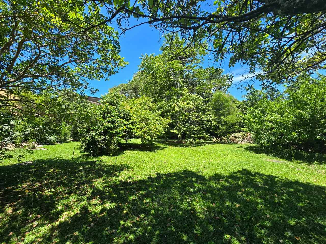 House for Sale with 1,732 sq m Garden in an Exclusive Gated Community in Ciudad Colón - Gallery image 20