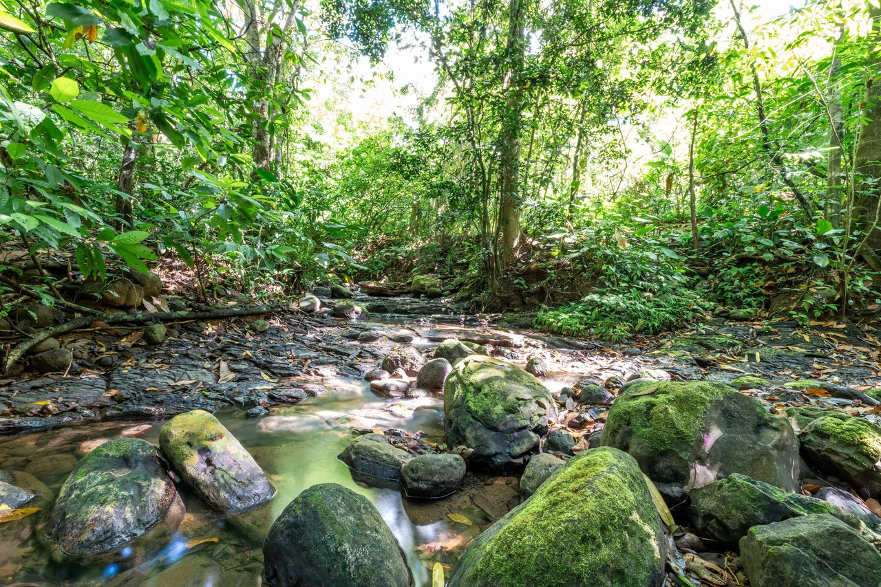 Surfers Paradise! Two Usable Lots for Building in Playa Hermosa Near Uvita!!: Mountain Home Construction Site For Sale in Playa Hermosa - Gallery image 13