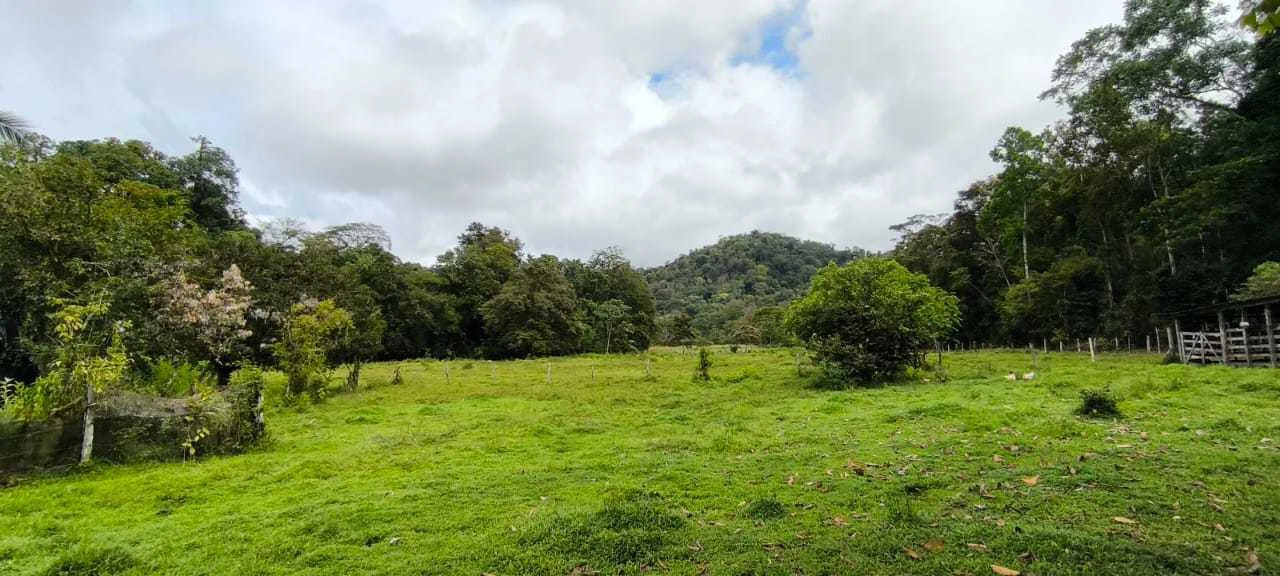 23 Acres of Paradise at Bahia Drake - Gallery image 30