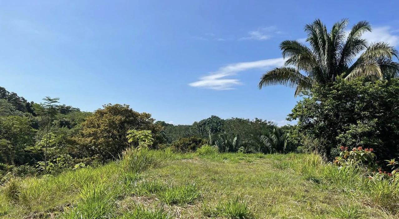 Exclusive Hermosa 1.2 Acre Lot with Panoramic Mountains and Ocean View. - Gallery image 4