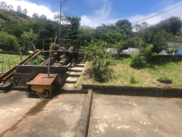 Coffee Farm in Monteverde is a full working Business - Gallery image 10