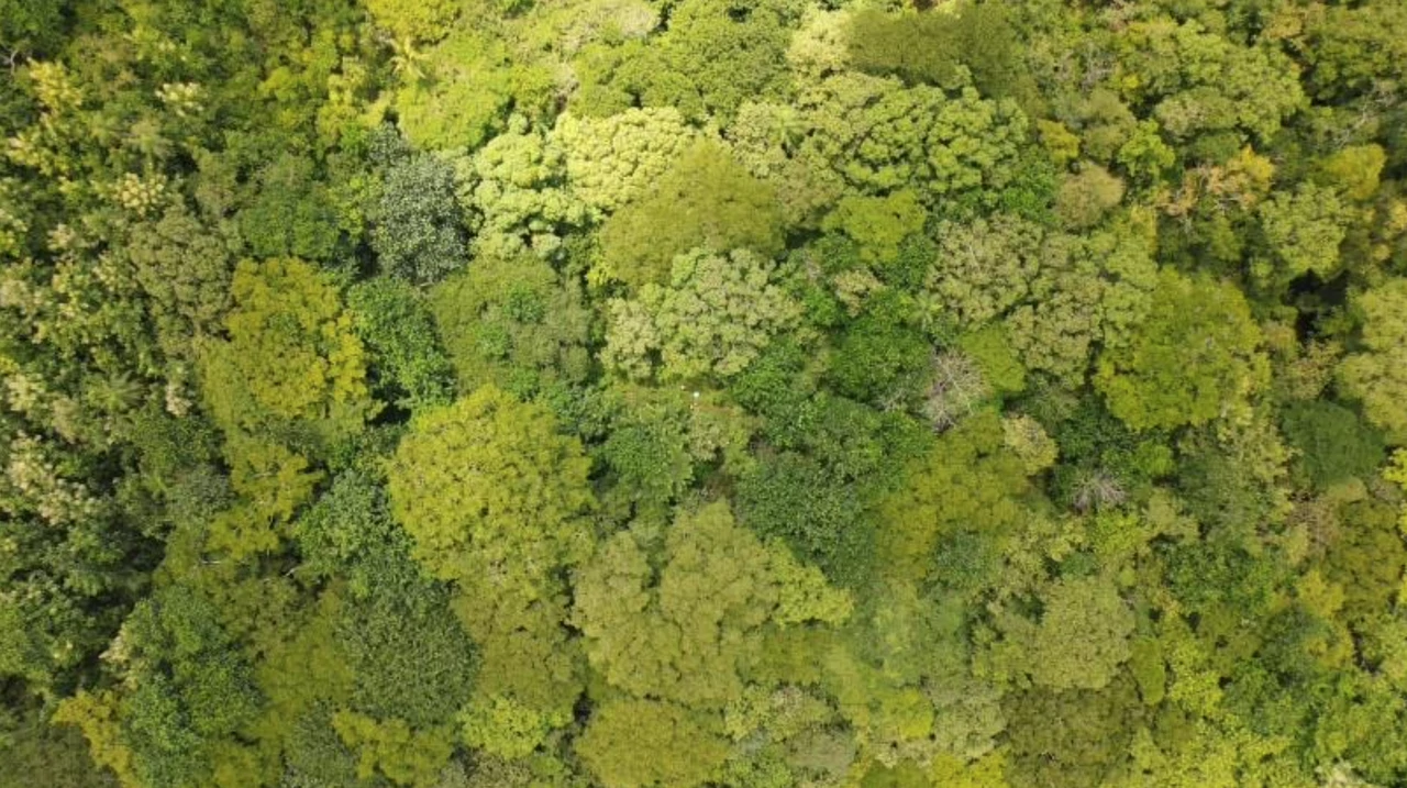 First Time Listed! Playa Avellanas Costa Rica Ocean View Development Land for Sale. Water and Land letter in Place. A Developer Dream! - Gallery image 6