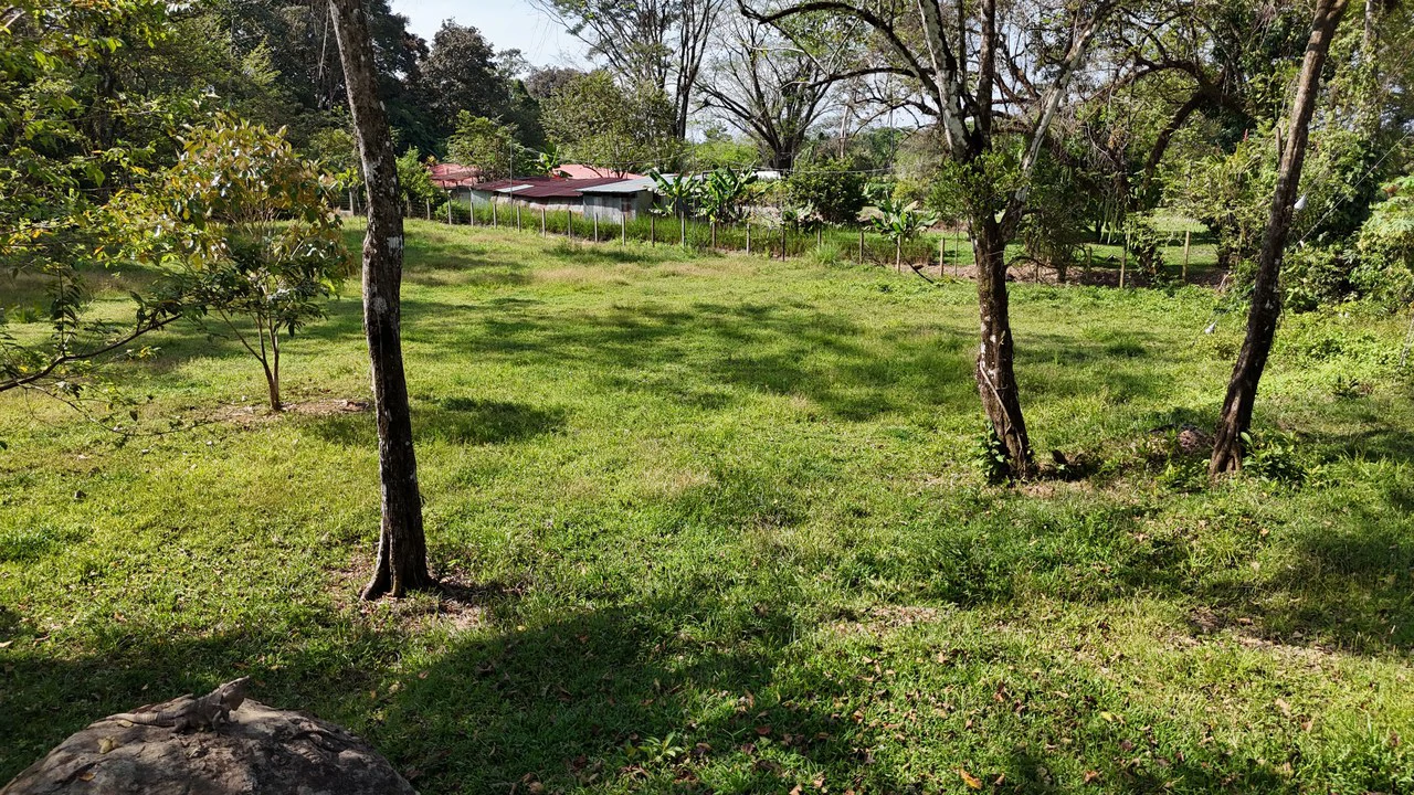 Prime Riverfront Property in Hatillo - Gallery image 11