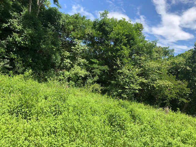 Amazing 50% discount for Huge ocean-view farm for sale surrounded by soft rolling hills and pristine nature - Gallery image 22