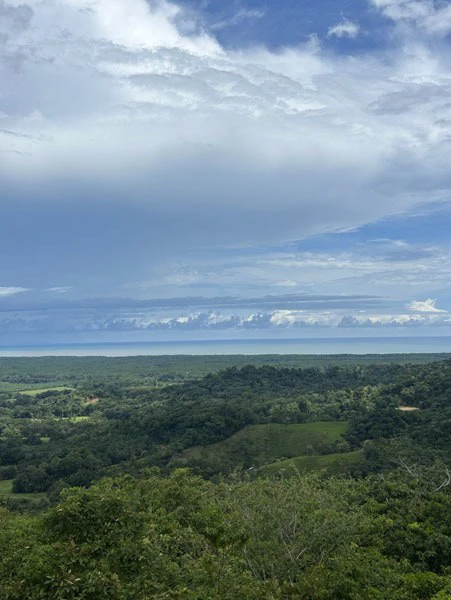 Panoramic 180 Degree Ocean View Lot Ready To Build Close To Ojochal - Gallery image 47