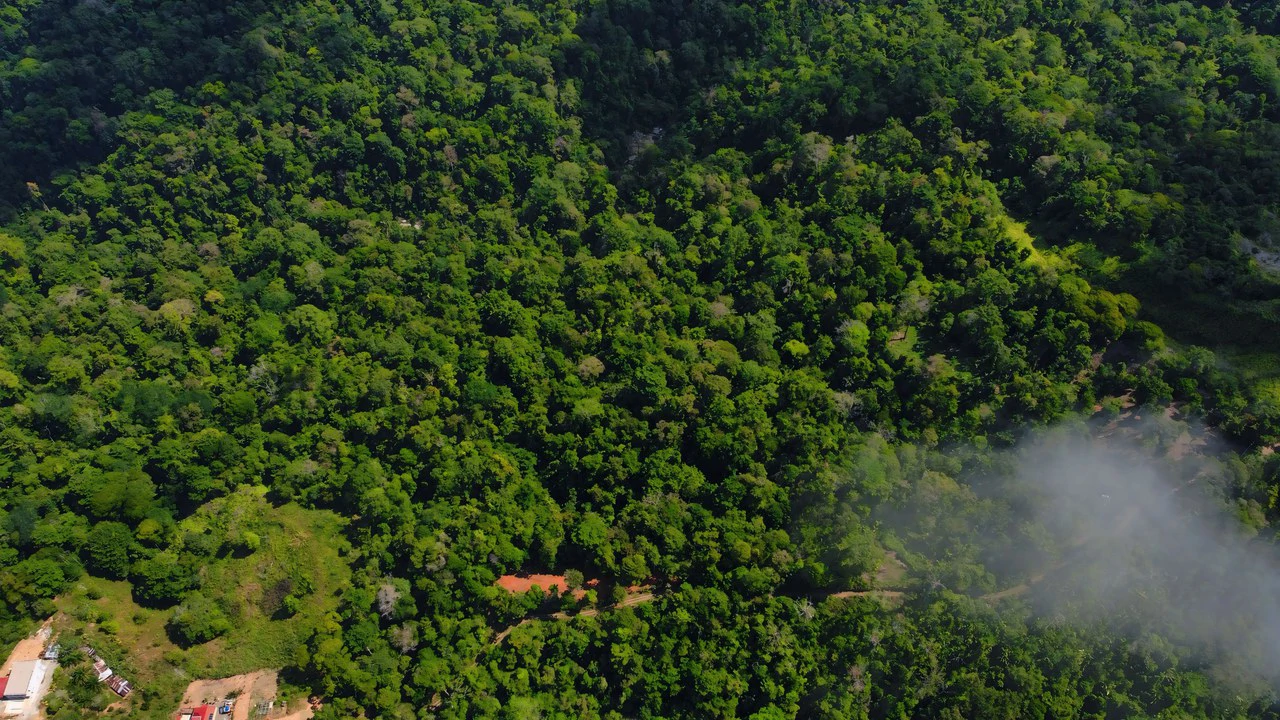 FINCA CERRO DEL TIGRE! OVER 20 ACRES OF PRIMARY FOREST AND WATERFALLS.: Mountain Agricultural Land For Sale in La Unión - Gallery image 5