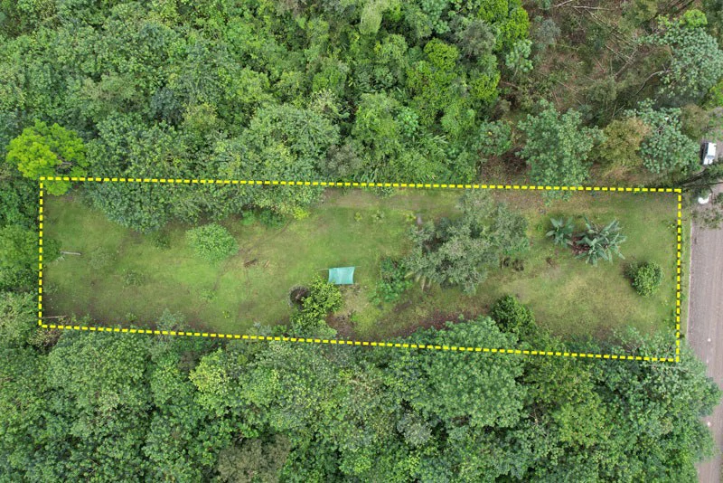 Land For Sale in Dos Brazos, Puerto Jimenez, Ideal For Home Surrounded by Nature - Gallery image 2