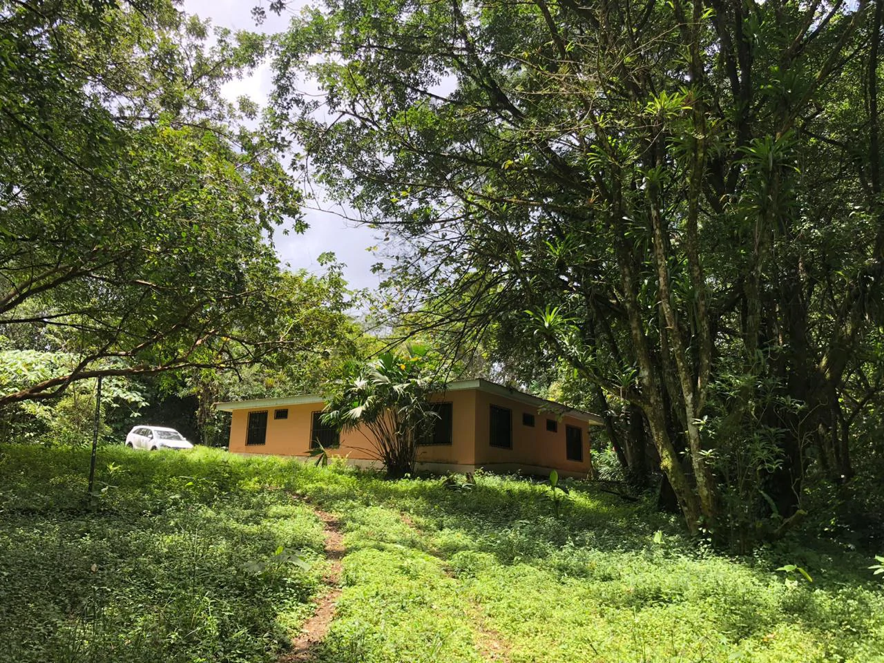 Hot Springs Property in Dos Ríos de Upala – Excellent Investment Opportunity - Gallery image 28