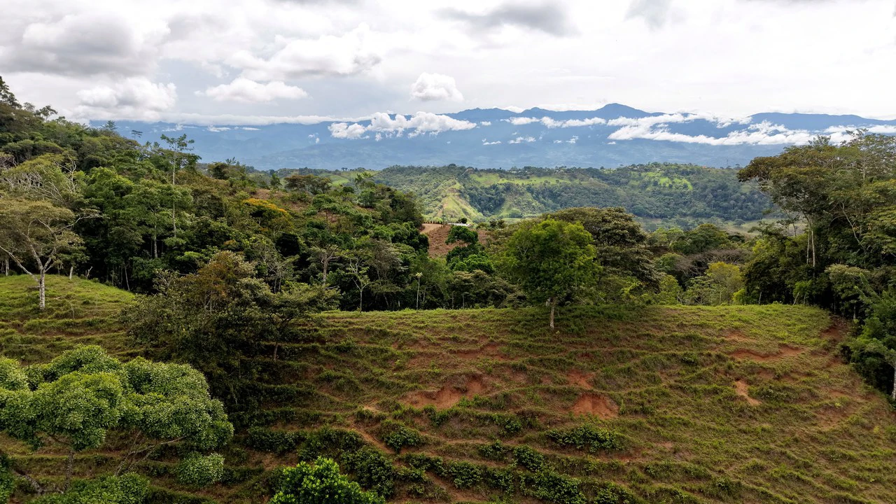 Countryside Home Construction Site For Sale in Centro de Pérez Zeledón - Gallery image 9