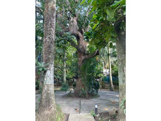 Tropical Garden Hotel Downtown Jaco - Gallery image 17