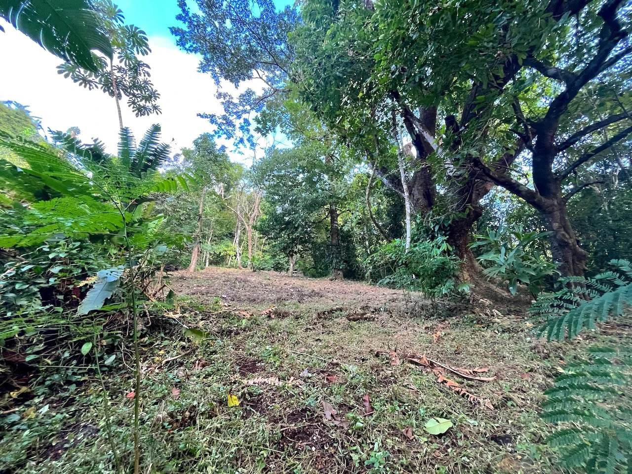 2300m2 Commercial and Residential land steps from the ocean:Surrounded by Nature in  Mal País and 10 min from Santa Teresa - Gallery image 3