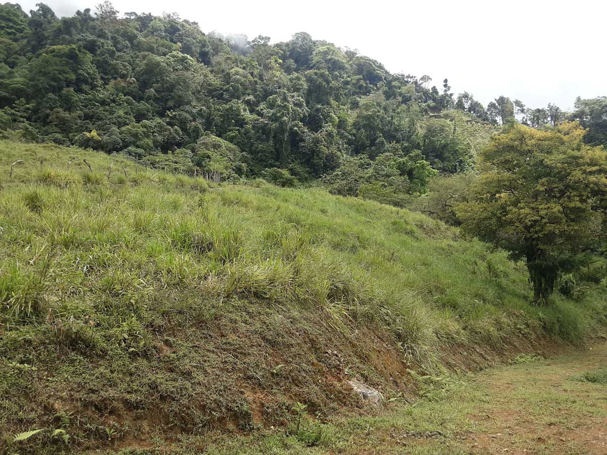 Finca Tesoro Escondido - The Jewel of Uvita - Gallery image 59