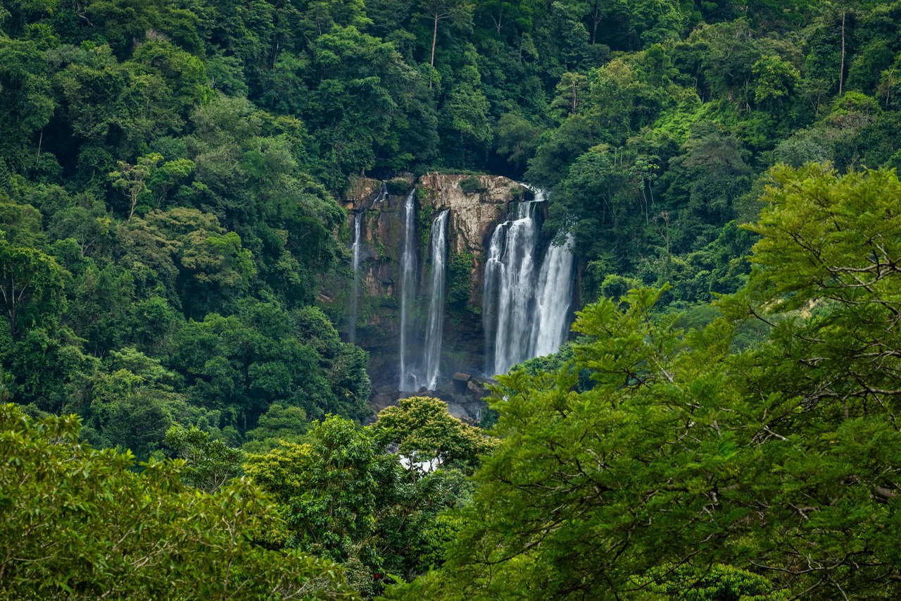 2.4 Acre Property In The Mountains Above Dominical with Waterfall Views - Gallery image 9