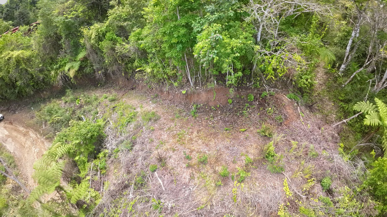 Ocean View Investment Opportunity - Gallery image 20