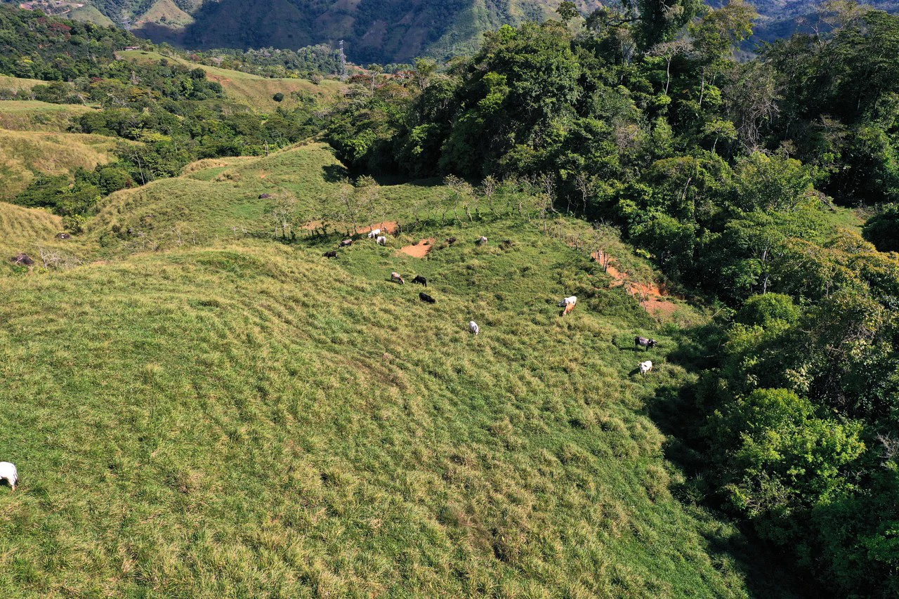 150 Acre Cattle Ranch with Panoramic Views Above the mountains of Uvita - Gallery image 26
