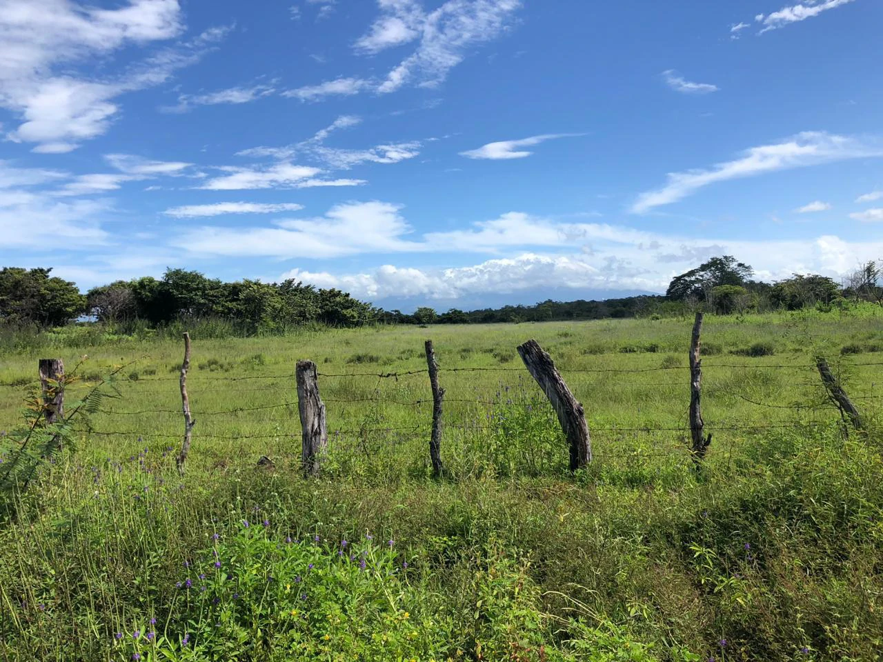 Great investment opportunity, property adjacent to Liberia Airport - Gallery image 7