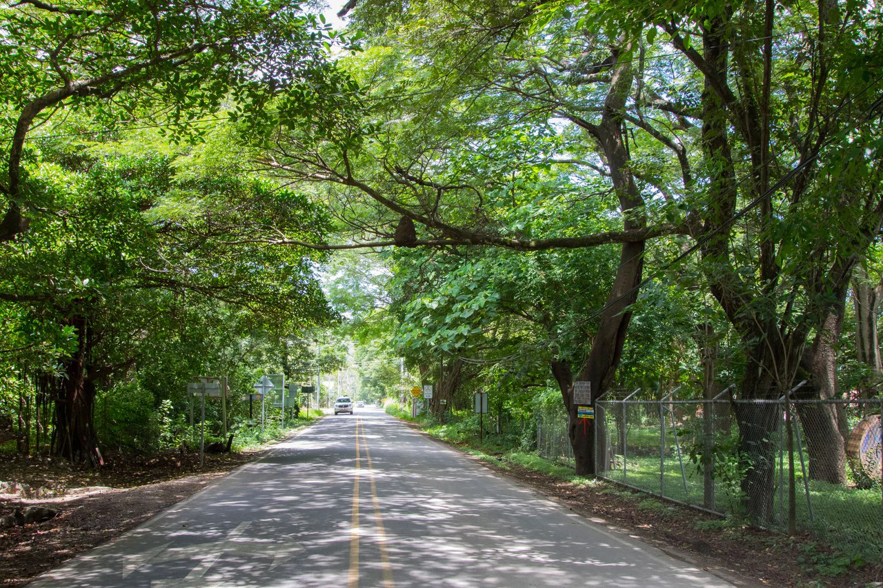 Lot K-24: Surfside lot Near the Beach! - Gallery image 17