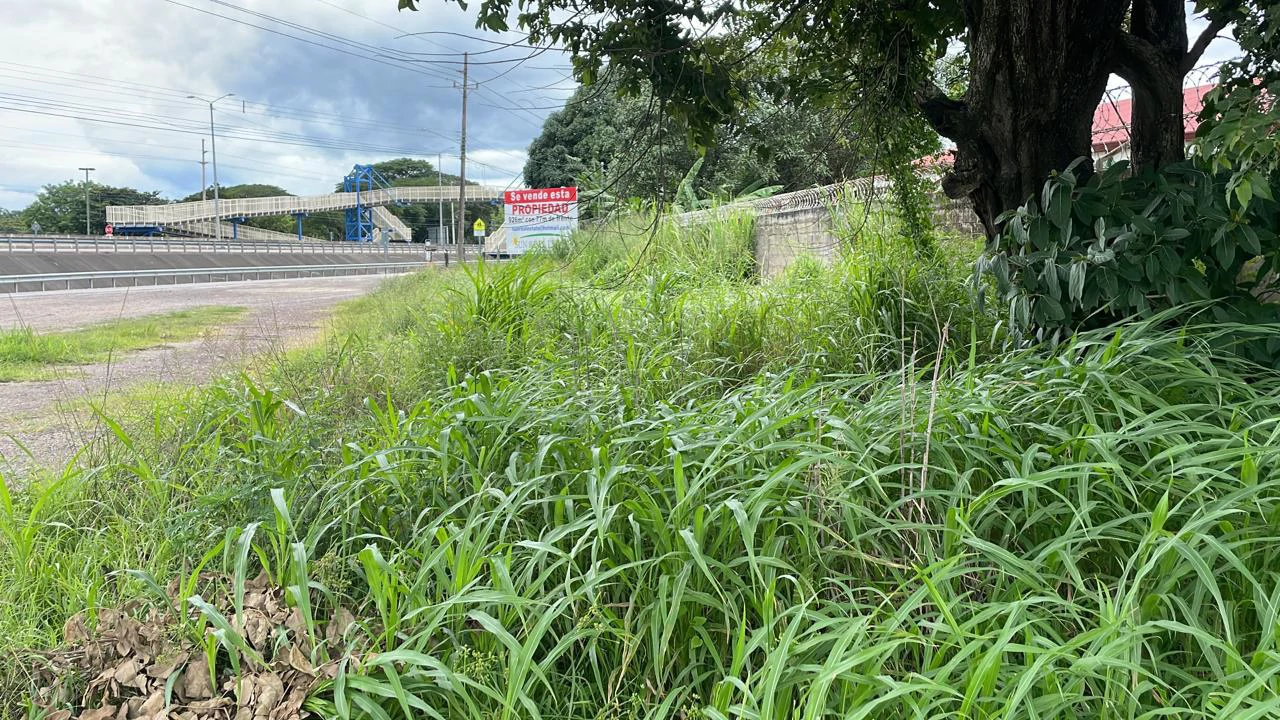 Commercial property for sale in Liberia center in front of the Mall on the main Inter american highway # 1 - Gallery image 5