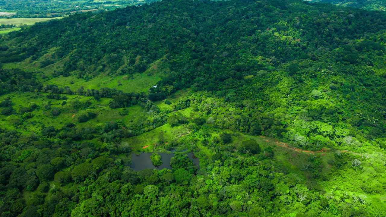 4,850 Acre Beachfront Legacy Ranch Esterillos Central Pacific Coast - Gallery image 21