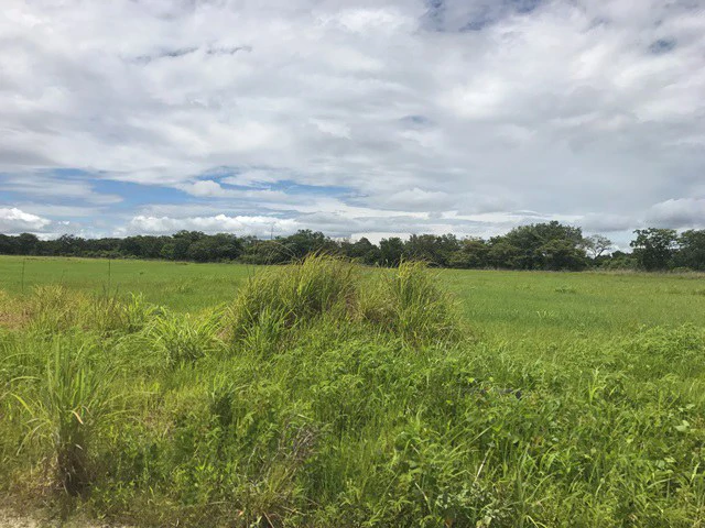 Large Development Land for Sale in Liberia, Guanacaste, Costa Rica - Gallery image 53