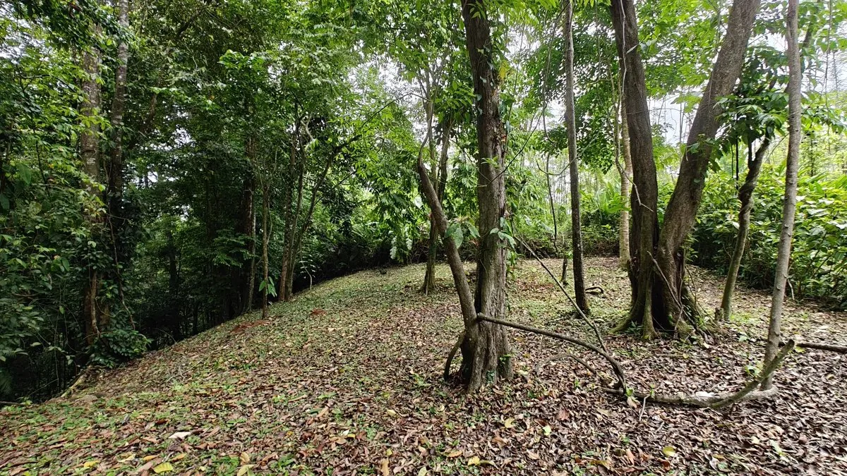 ID 1121: 1,979m² Titled Lot - Last Available Lot in Punta Uva Hills - Near Punta Uva Beach - photo 7