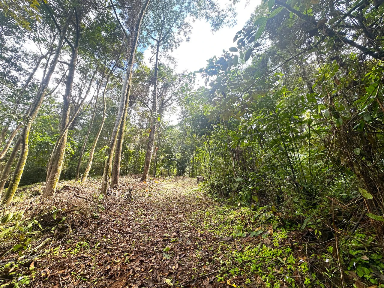 Mountain View Building Lot in Prestigious Gated Community With Private Waterfall & Two Building Sites: Mountain Home Construction Site For Sale in Portalon - Gallery image 28