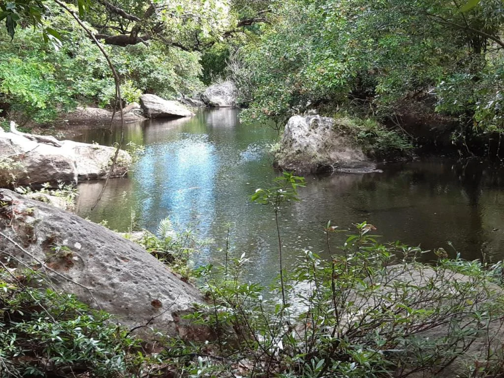 Big Farm: Property of 231 hectares in the Salto de Bagaces - Gallery image 18