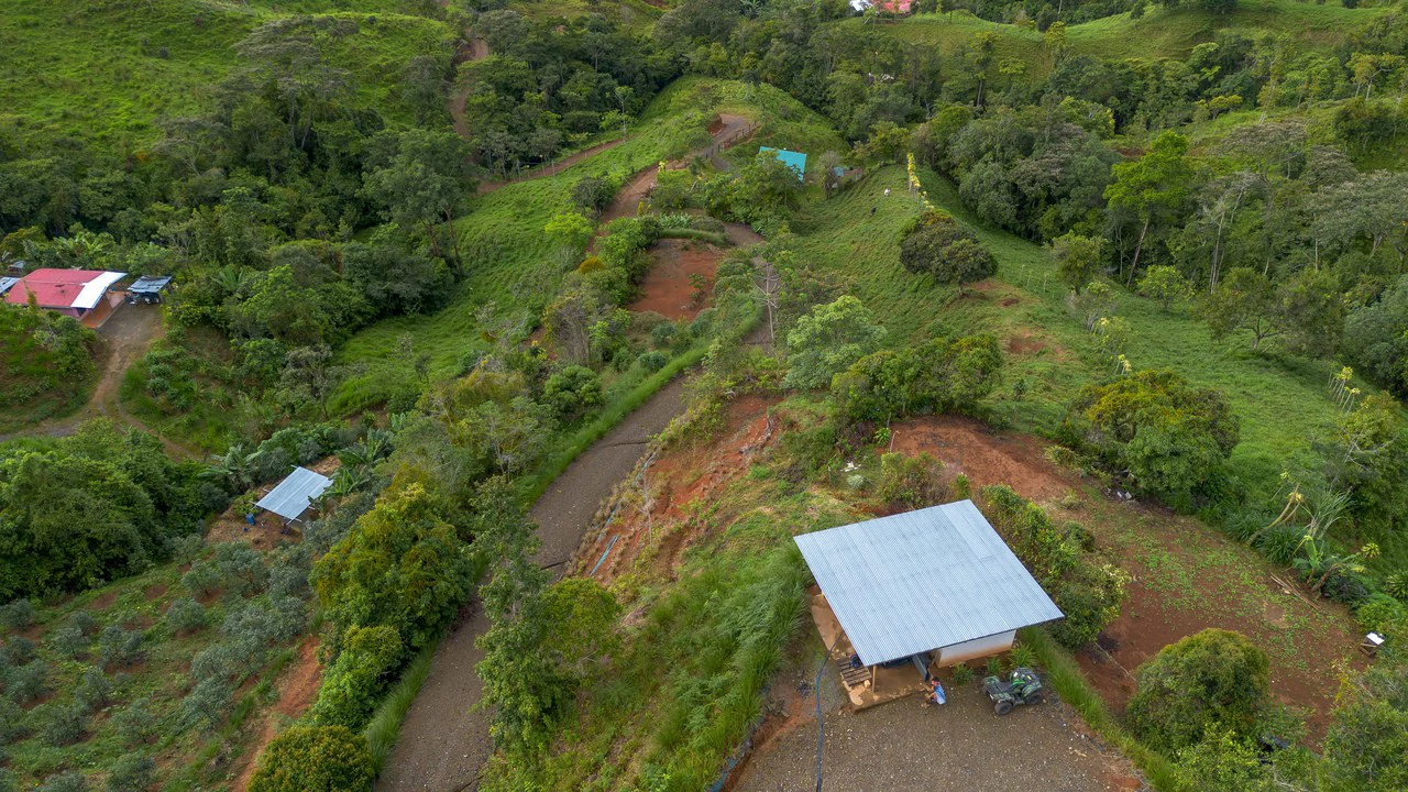 10.21 Acres with Views & Plantels – Pérez Zeledón - Gallery image 4